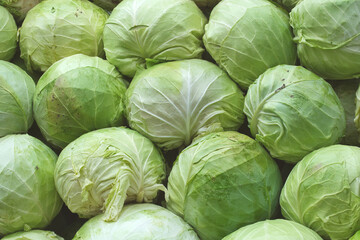 Fototapeta na wymiar A beautiful natural pattern - variety of fresh leafy green cabbage on the stall of farmers' market in Serbia