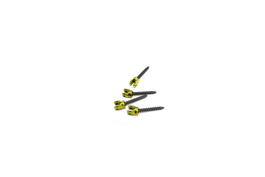 Polyaxial Pedicle Screws