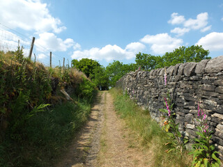 perspective view of a long narrow country lane running uphill surrounded by high stone walls west yorkshire with wildflowers and blue summer sky
