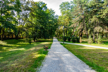 Łódź miasto park aleja ścieżka drzewa jesień © Dariusz