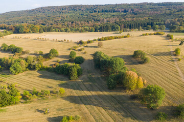 Fototapeta premium View from above of the hilly landscape in the Taunus / Germany in autumn