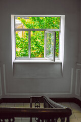 New staircase window with open sash overlooking the bright green foliage of the tree and the upper floors of the building.