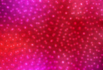 Light Red vector background with spots.