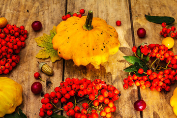 Fresh pumpkins, cherry plums, acorns and ripe rowan berries