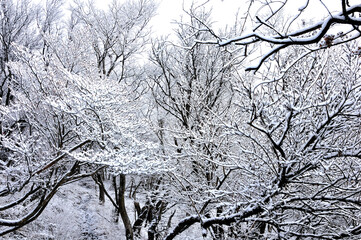 Obraz premium 雪景色の二ノ塔尾根