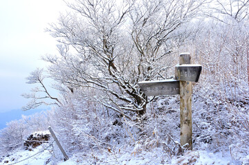 雪景色の丹沢 表尾根の三ノ塔の道標