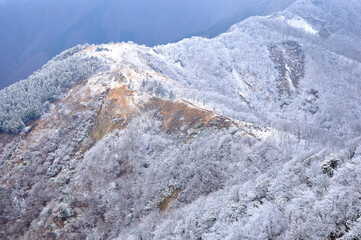 丹沢山地 雪の烏尾山を望む