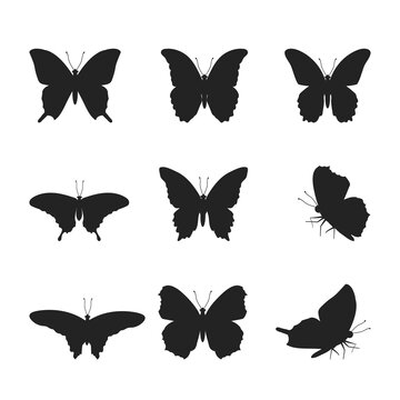 Vector illustration of a set of silhouettes of black butterflies