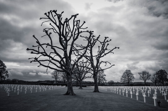 Limburg, Margraten, Netherlands American Cemetery and Memorial, Holland, Europe