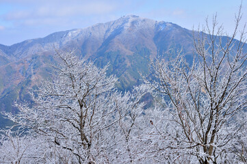 丹沢 雪化粧した二ノ塔より大山