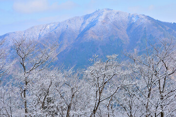 丹沢 雪化粧した二ノ塔より大山