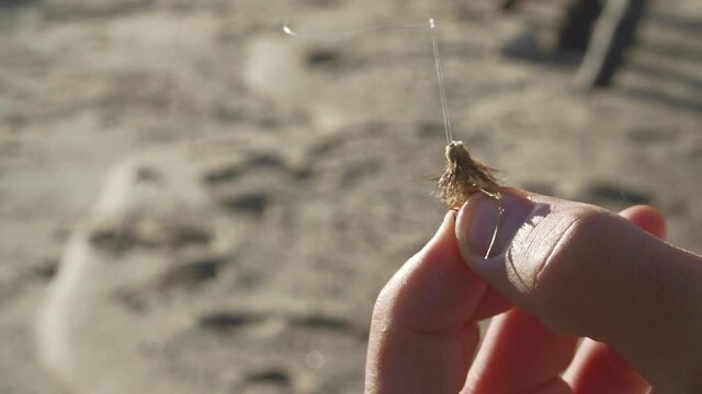 Close up of a male fisherman's hands tightening a knot around a fly fishing lure.  The knot descends on the line and is finally pulled tight.