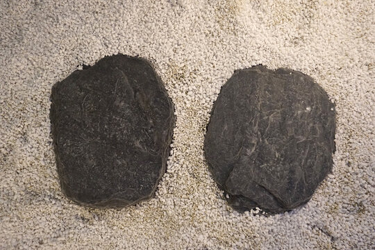 black stones on the sand