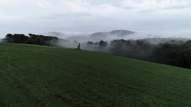 Moody Field And Forrest Covered In Fog