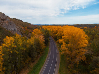 Naklejka premium Aerial view of road in beautiful autumn Altai forest. Beautiful landscape with empty rural road, golden autumn in altai: trees with red, yellow and orange leaves.