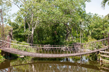 Wood rope bridge above swamp in forest park at Thailand.