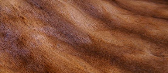 Abstract brown fur rabbit background texture, brown pelt. close-up of a coat - garment. animal fur background. Full Frame of Natural fur coat. panoramic