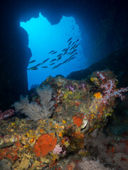 The opening of underwater cave covered with corals (Mergui archipelago, Myanmar)