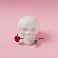 Skull with rose flower. Minimal romantic love concept. Halloween pink background.