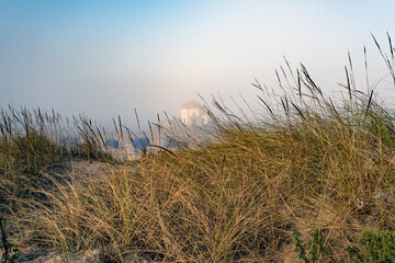 Fototapeta premium Am Strand auf den Dünen mit Planzen und Gräsern.