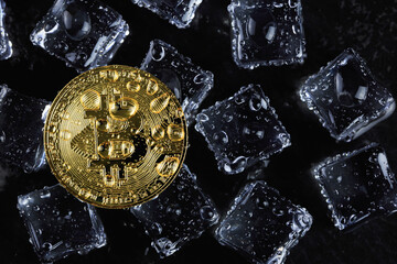 Bitcoin coins on ice
Business concept ideas and technology