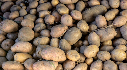 Heap of  potato on counter