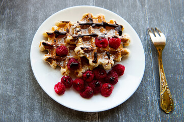 Sweet Homemade Berry Belgian Waffle with chocolate syrup and sugar powder