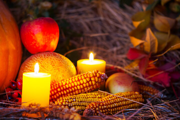 closeup autumn vegetables in a dry grass, corn, apple, brier and burning candles
