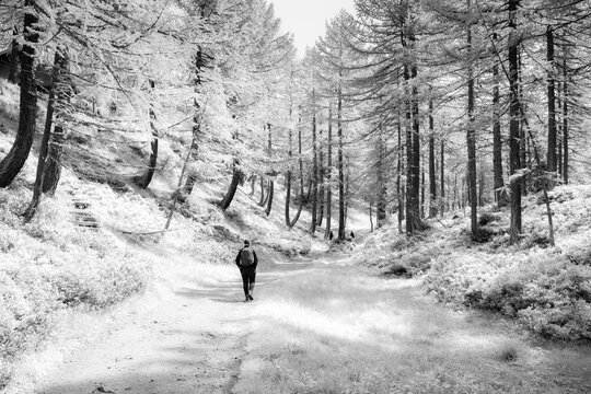 Sentiero all'Alpe Devero