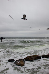 Storm at sea. Stones in the water. Seagulls fly low over the water.