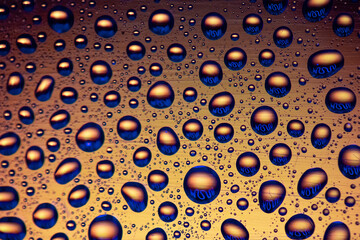 Macro water droplets with colour backgrounds 