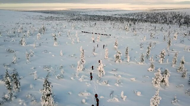 Drone view of snowshoe walking in Saariselka, Lapland, Finland.