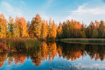 autumn trees reflected in water