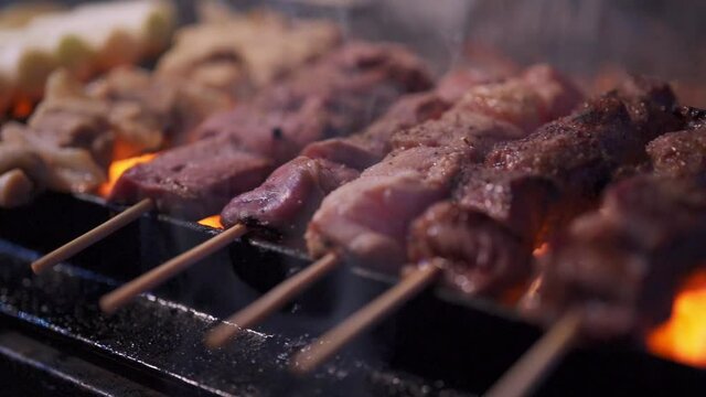 Tokyo 2020: Yakitori In Tokyo Is Very Popular For Both The Locals And Tourists. Omoide Yokocho In Shinjuku Is The Famous Area For Small Yakitori Bar/restaurants.