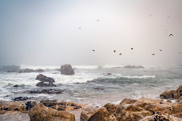 Magische-Mystisches Meer und ein Vogelschwarm. Nebel, Fog, Mist, Wolken, Wellen, Steine am Strand mit Blick auf den ewigen Ozean.