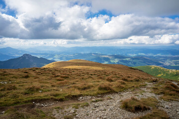 Mountain meadows in the Western Tatras. Slovakia.