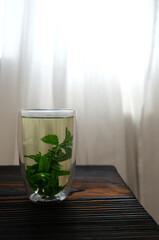 Herbal mint tea in the glass thermo cup. Vertical background