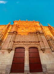 Obraz premium Salamanca's University façade