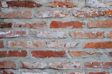 Pared de ladrillos