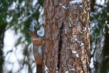 what are you looking at?