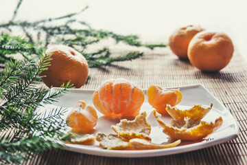 Tangerines on a plate and a spruce branch.