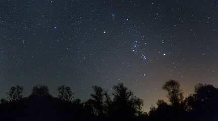 Orion constellation above a night forest silhouette, night starry sky scene