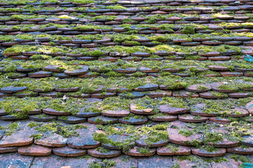 Old roof tiles overgrown with green moss as background