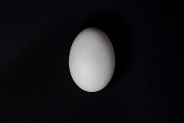 Egg on a black background. White chicken egg