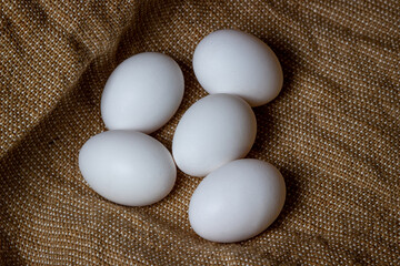 White chicken eggs. White eggs lie on sacking