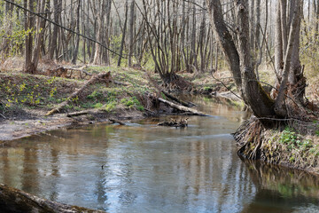 landscape with a small wild river, river banks covered with dry, old grass and fallen trees, early spring