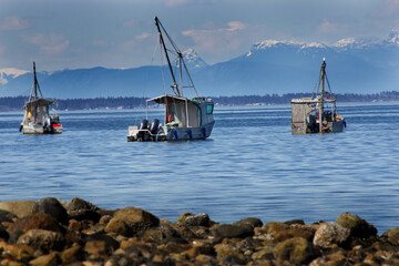 Fishing boats at anchor off the BC coast on Vancouver Island Canada.