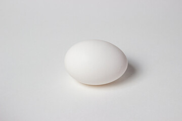 Egg on a white background. White chicken egg