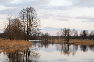 Obraz premium landscape with a small wild river, river banks covered with dry, old grass and fallen trees, early spring