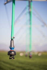 Close up image of a center pivot on a green field of wheat, providing irrigation to the crops